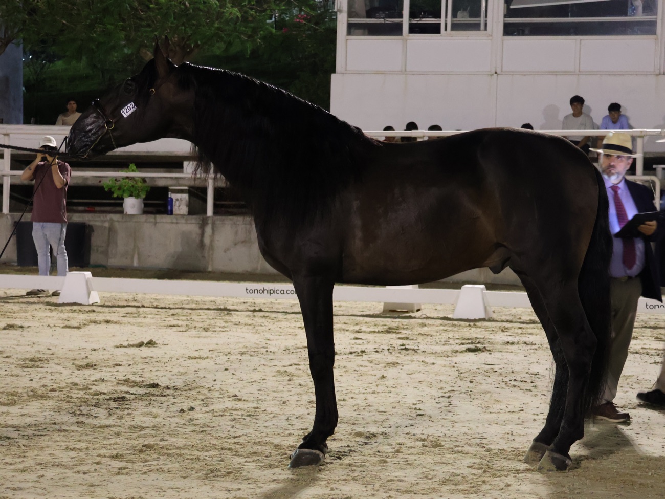 Jalisco de Marengo
