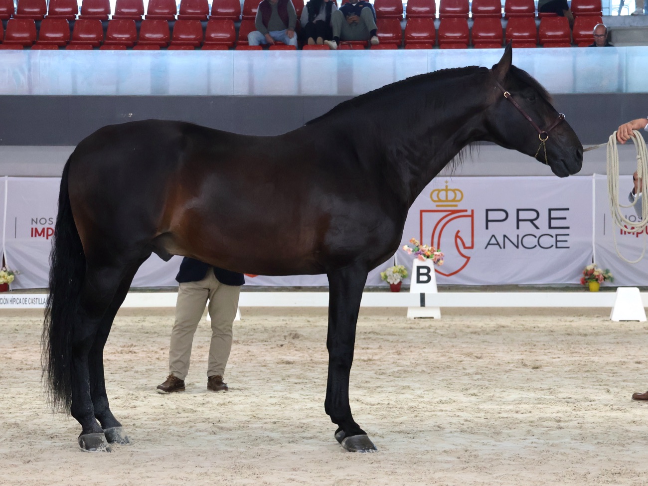 Jalisco de Marengo