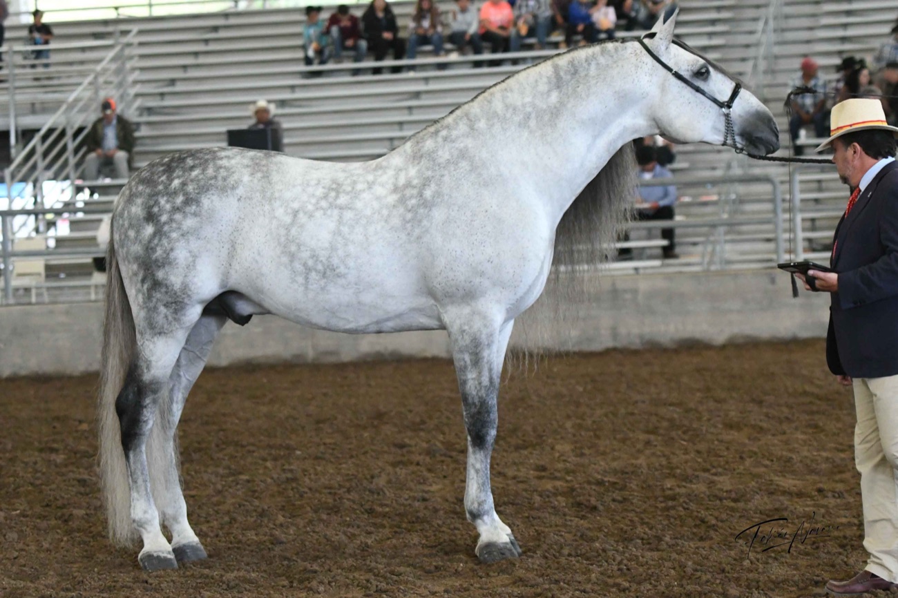 Tornado de Marengo