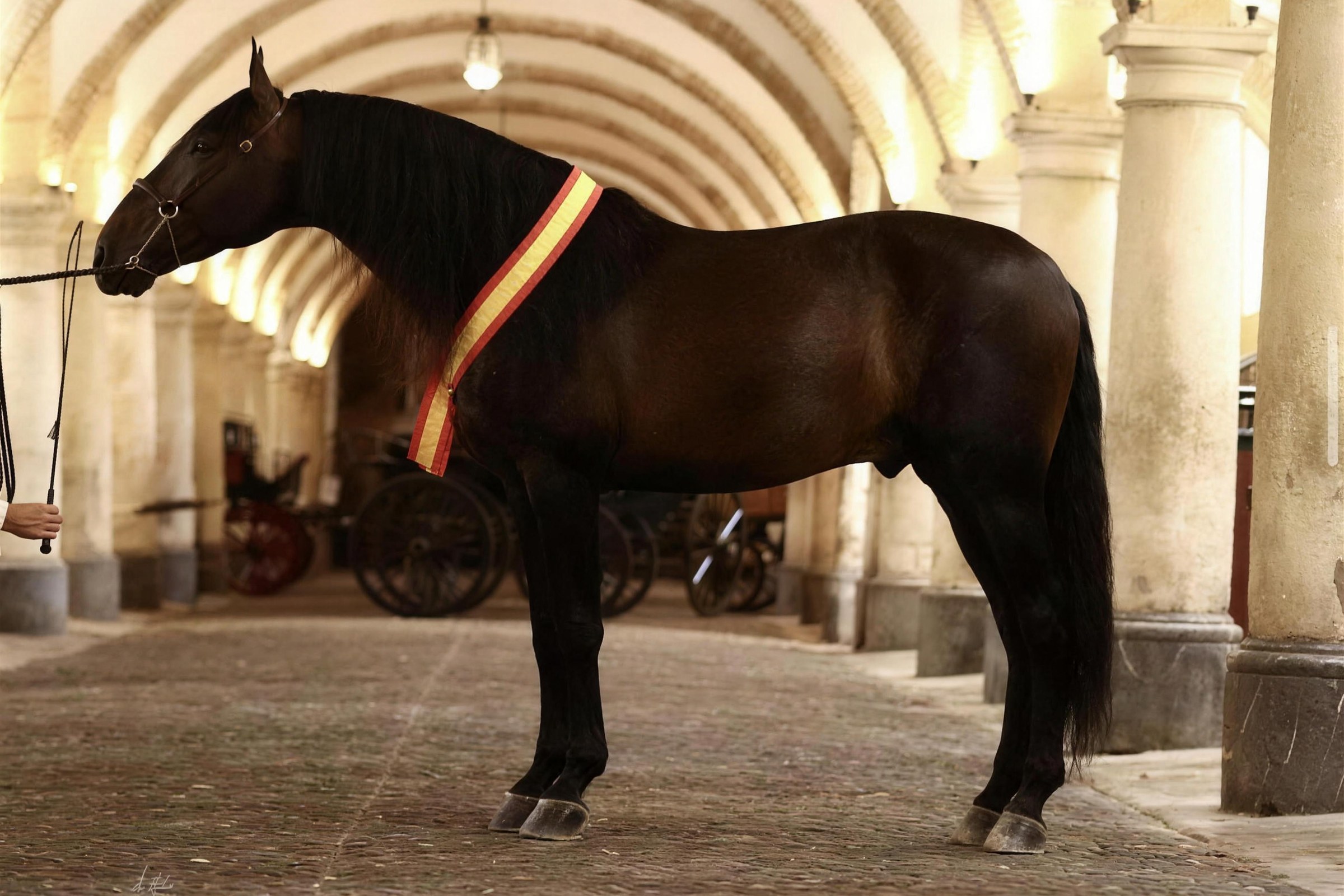 Jalisco de Marengo