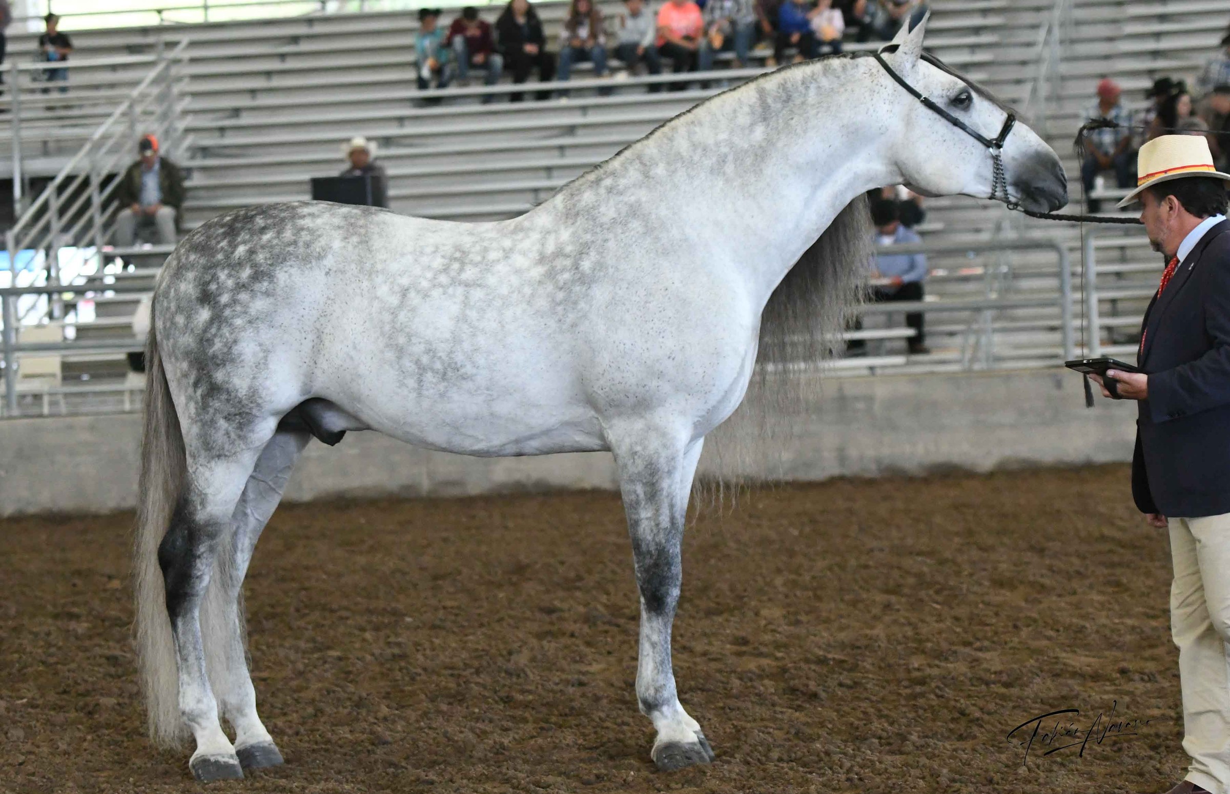 Tornado de Marengo