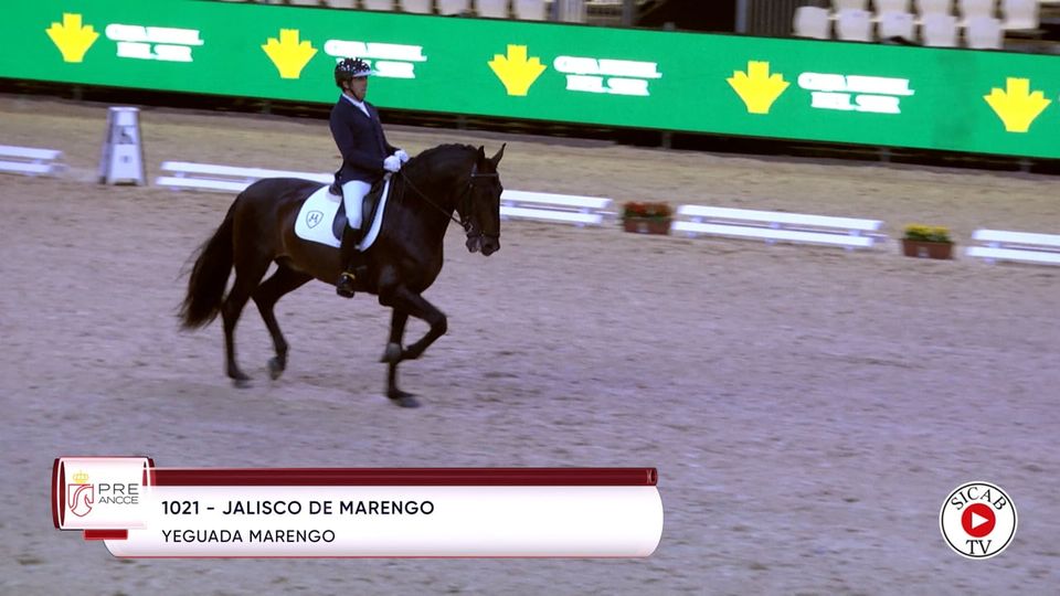 Jalisco de Marengo · funcionalidad, Sección 10ª, SICAB 2022