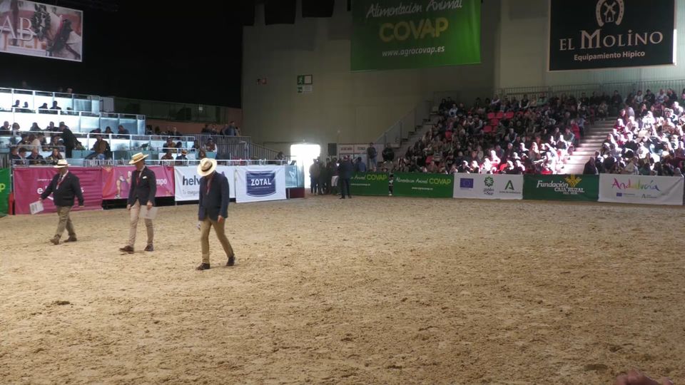 Campeones Adultos del Mundo, machos · SICAB 2023